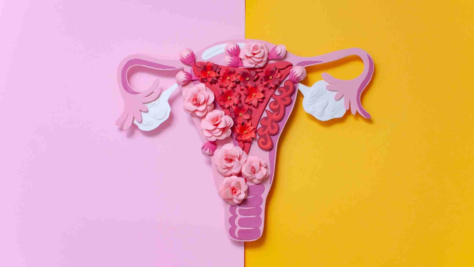 Endometriosis, hipotiroidismo, fibromialgia y enfermedades autoinmunes 2