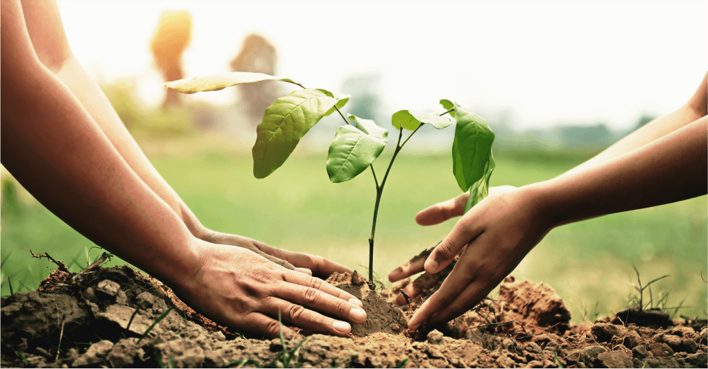 Como afectan los pesticidas a la salud humana 1